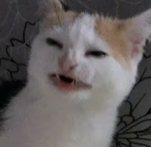 post banner image